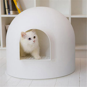 HOW TO CHOOSE A CAT LITTER ?