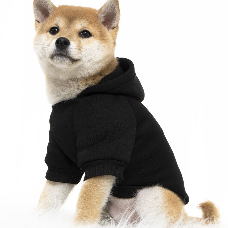 dog car accessories